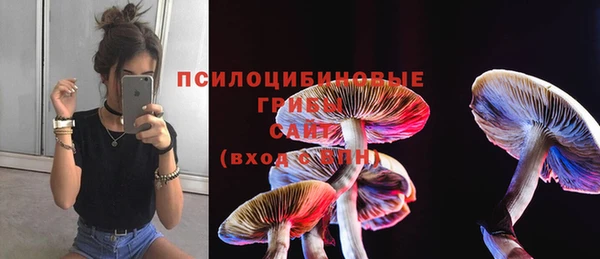 шишки Краснотурьинск