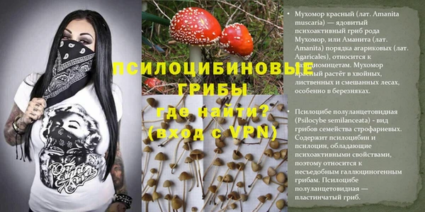 MDMA Premium VHQ Краснослободск