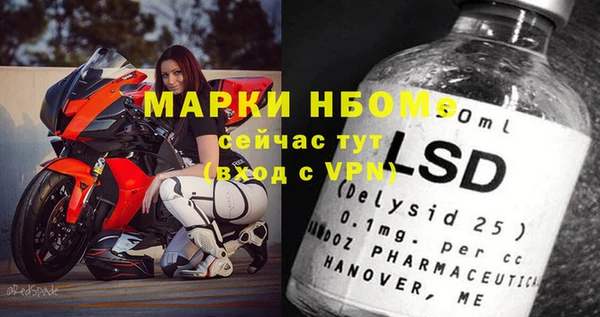 шишки Краснотурьинск