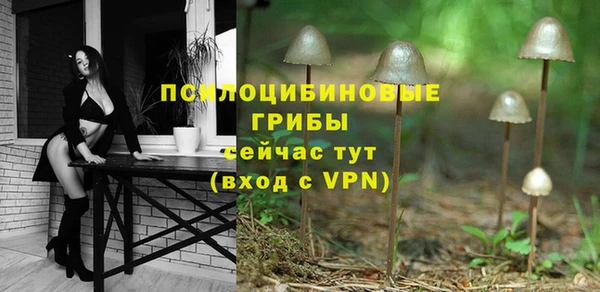 MDMA Premium VHQ Краснослободск