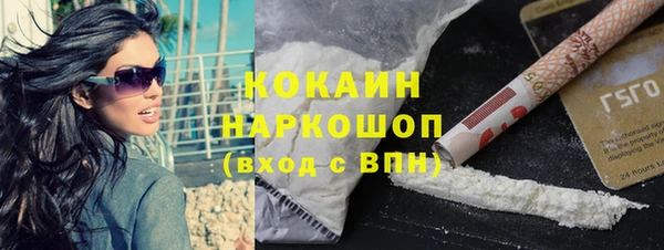 шишки Краснотурьинск
