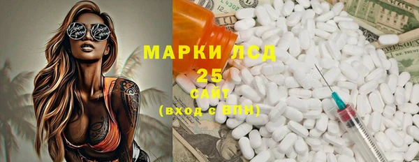шишки Краснотурьинск